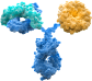 TAA-Targeted Sialidase 